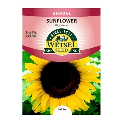 SUNFLOWER, BIG SMILE 590MG