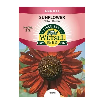 Sunflower, Velvet Queen - 2 Gram