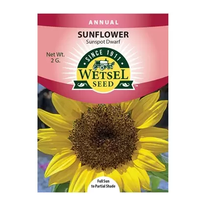 Sunflower, Sunspot Dwarf - 2 Gram