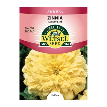ZINNIA, CANARY BIRD 590 MG.