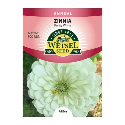 ZINNIA, PURITY WHITE 590 MG.