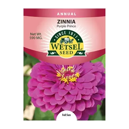 Zinnia, Purple Prince 590 mg