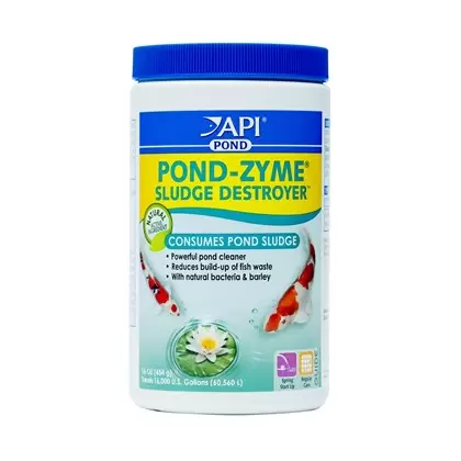 API Pond 1