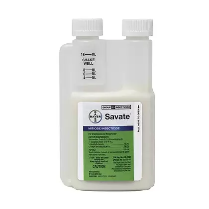 Bayer Envu Savate 8oz (6/CS) AGENCY