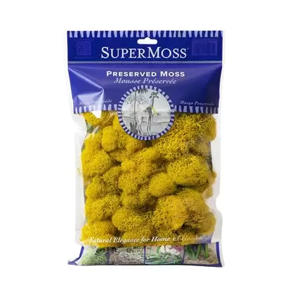 SuperMoss 2oz Reindeer Moss Sunflower