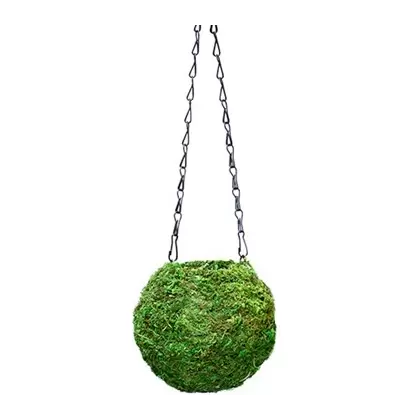 SuperMoss 6" Kokedama Green Moss Ball Planter
