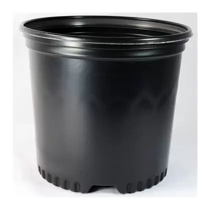 NS PF400CU, TRADE SIZE TRUE 1 GALLON, 1 GALLON, BLACK 85/BD 64/TOWER (7-1/2"X7-1/8"), 1Gallon