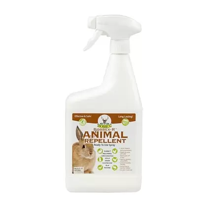 Bobbex-R 32oz Animal Repellent RTU