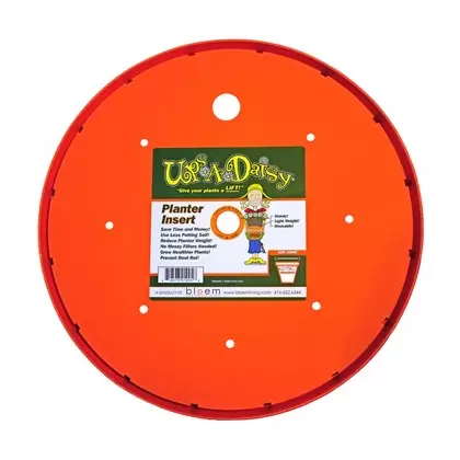 Bloem 15" Ups A Daisy 6/CS
