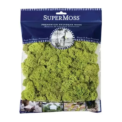 SuperMoss 120cu Bag Preserved Reindeer Moss Chartreuse
