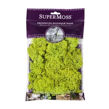 SuperMoss 2oz Reindeer Moss Chartreuse