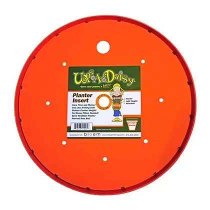 Bloem 17" Ups A Daisy