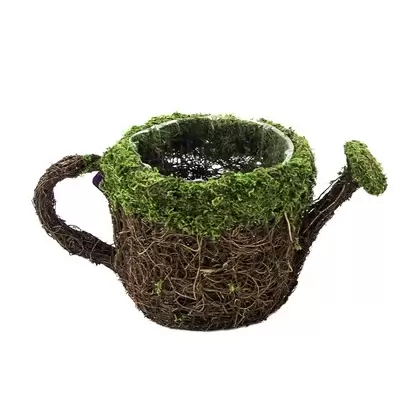 SuperMoss Deco Water Can Small