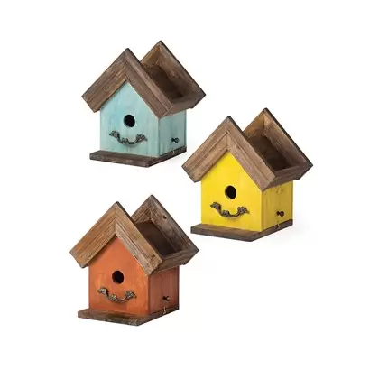SuperMoss Birdhouse Plantable Amber Mix