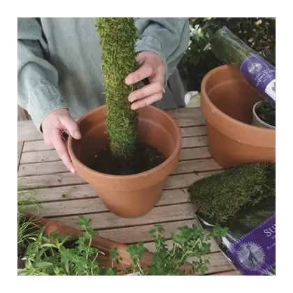 SuperMoss 3' Moss Pole Preserved