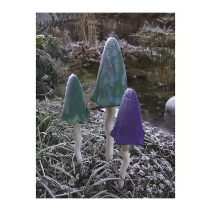 Potting Shed 3pc Tinkling Toadstools Winter Colors