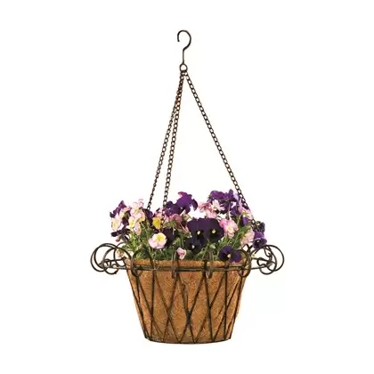 Deer Park French Hanging Basket With Coco Liner