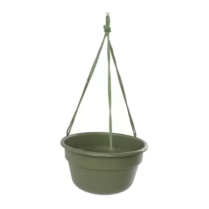 Bloem 12" Dura Cotta Hanging Basket Living Green