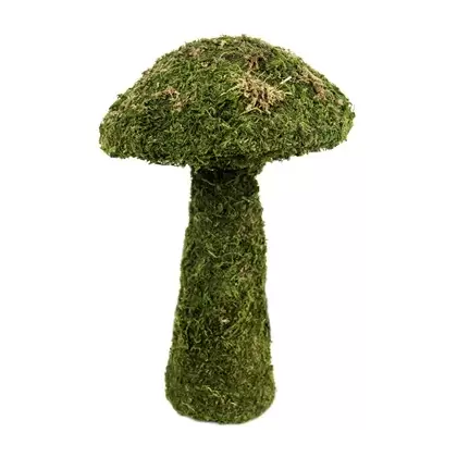 SuperMoss Sm Deco Mushroom