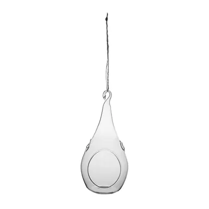 SSI Teardrop Hanging Terrarium