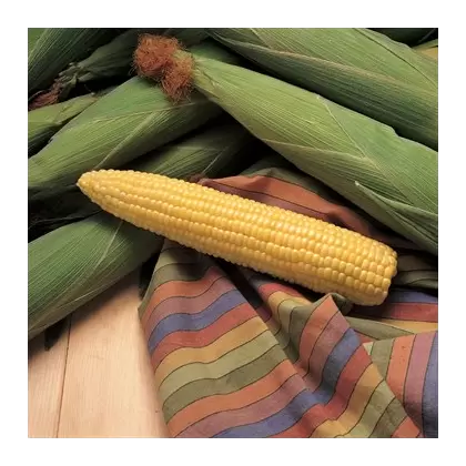 CORN, HONEY SELECT 4 OZ. EACH