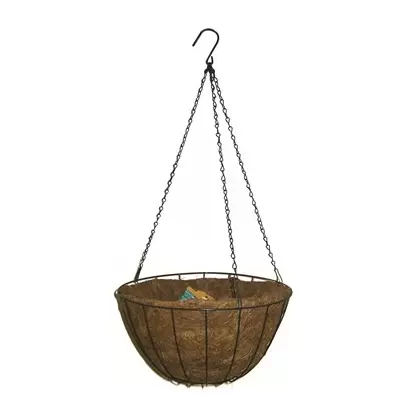 Panacea 14" Hanging Basket Green Growers