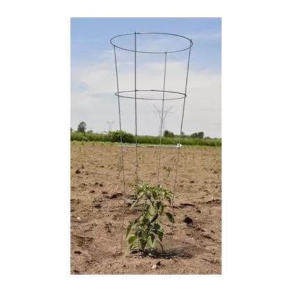 Midwest Wire Works 54" Heavy Duty Cage 4 Ring 4 Leg