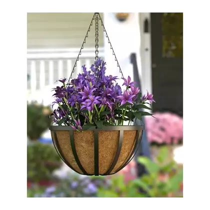 Panacea 14" English Hanging Basket W/ Coco Liner