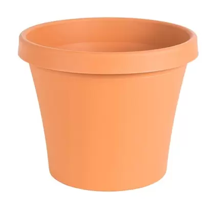 Bloem 8" TerraPot Terra Cotta