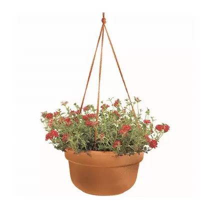 Bloem 12" Dura Cotta Hanging Basket Terra Cotta