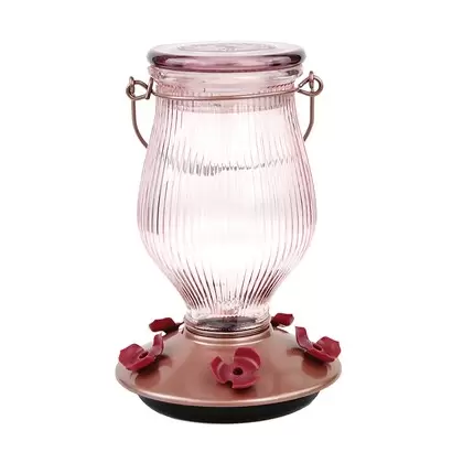 Perky Pet 24oz Glass Top Fill Hummingbird Feeder Rose Gold