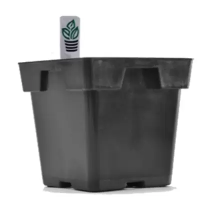 Belden Jumbo Square Tagspot Black 200/cs
