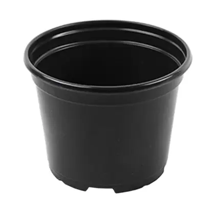 Grower Select 06.00 Coex Azalea Round Pot Black 660/CS