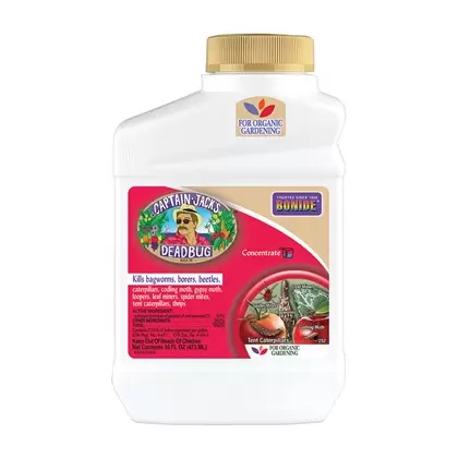 Captain Jacks Pt Dead Bug Brew Concentrate