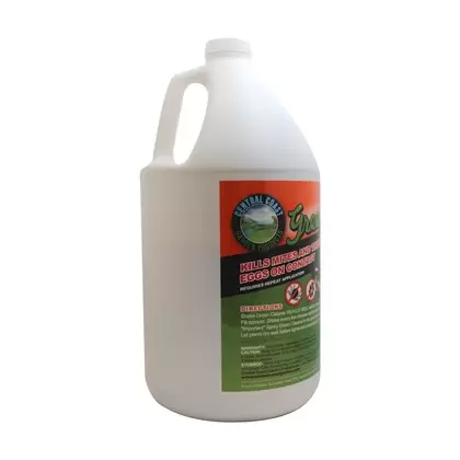 CCG 1gal Green Cleaner Concentrate