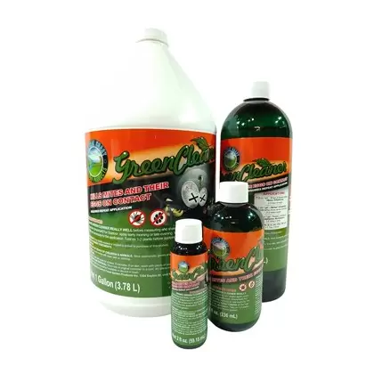 CCG 2.5gal Green Cleaner Concentrate