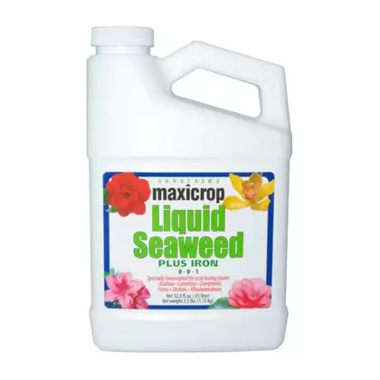 Maxicrop 1qt Plus Iron 2%