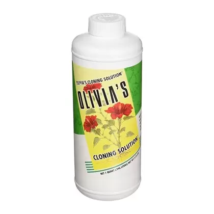 Olivia's 1qt Cloning Solution