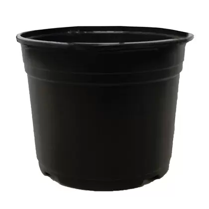 POPPELMANN VCD 16.5 AZALEA POT BLACK, 530 PER CASE, 16 CASES PER PALLET, 6-1/2" X 5", 2.04 qt (1.93 l)