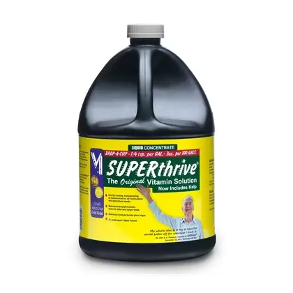 Vitamin Institute Gal Superthrive SUPER THRIVE