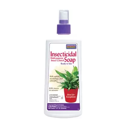 Bonide 12oz Insecticidal Soap Houseplant