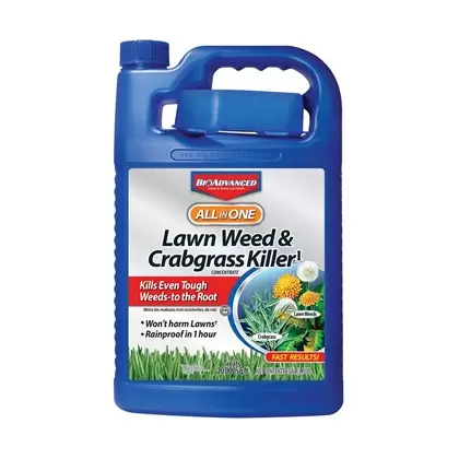 BioAdv 1gal All-in-One Lawn Weed Crabgrass Concentrate