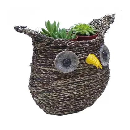Gardener Select 9.5" Medium Owl Rattan Rope Topiary 12/CS