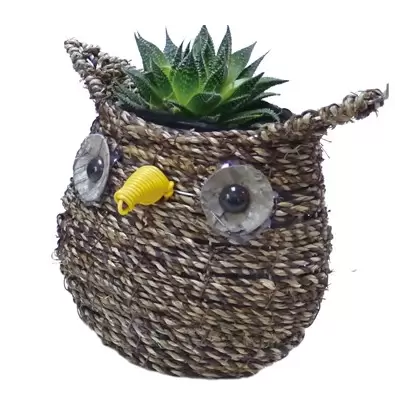 Gardener Select 7" Small Owl Rattan Rope Topiary 12/CS