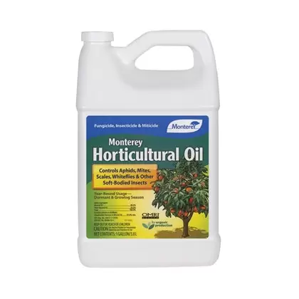 Monterey Gal Horticultural Oil