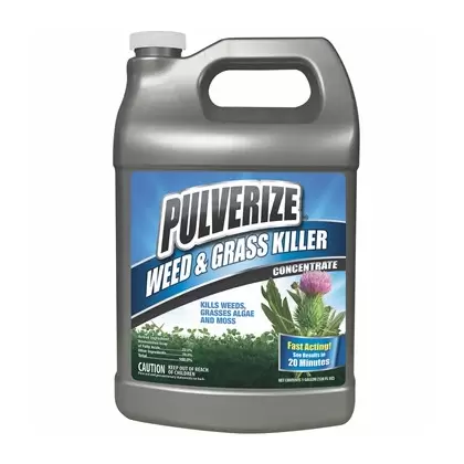 Pulverize 1gal Weed & Grass Killer Liquid Concentrate