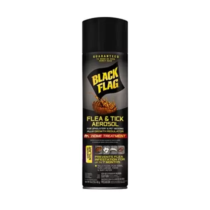 Black Flag Flea & Tick Aerosol For Upholstery