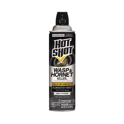 Hot Shot 14oz Wasp Hornet Aerosol