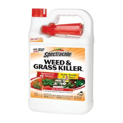 Spectracide 128oz Weed & Grass Killer RTU (Keywords: Scotts Roundup SC5003210 )