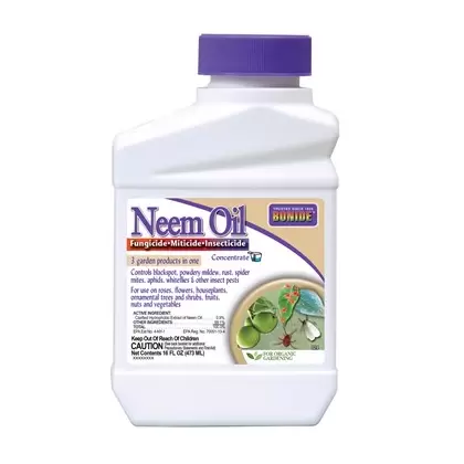 Bonide Pt Neem Oil Conc
